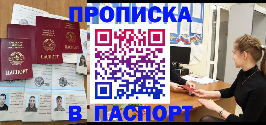 прописка поиск в Ельне